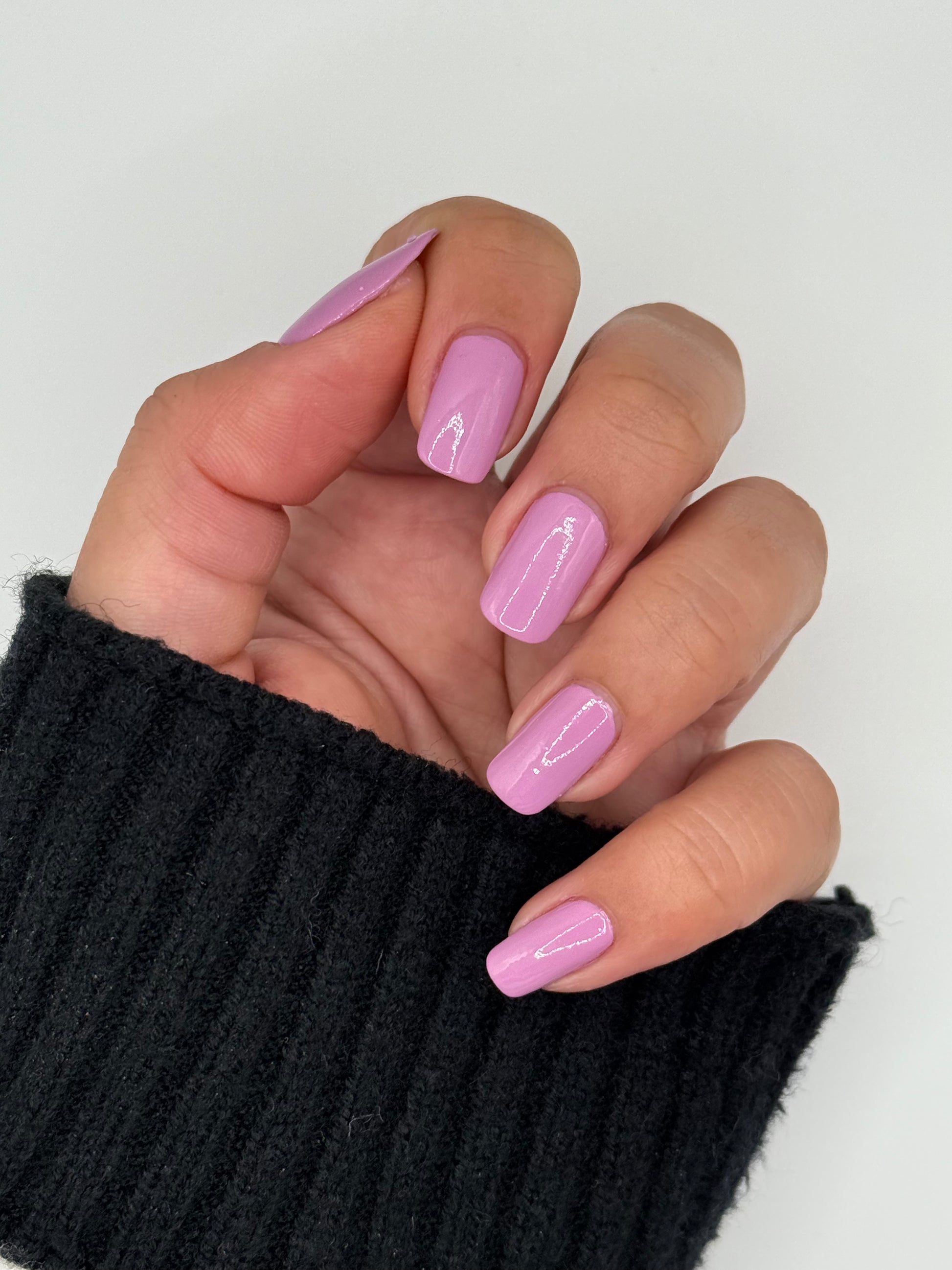 Rosy Lilac